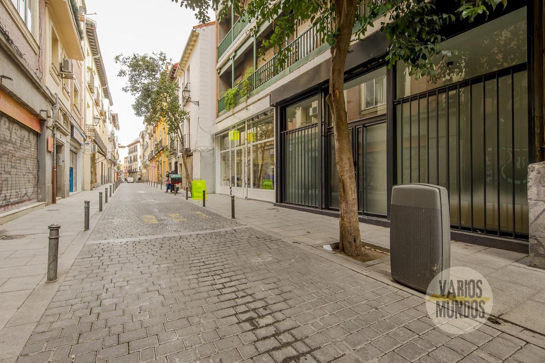 Central&modern 4hab 9p En La Latina Appartement *